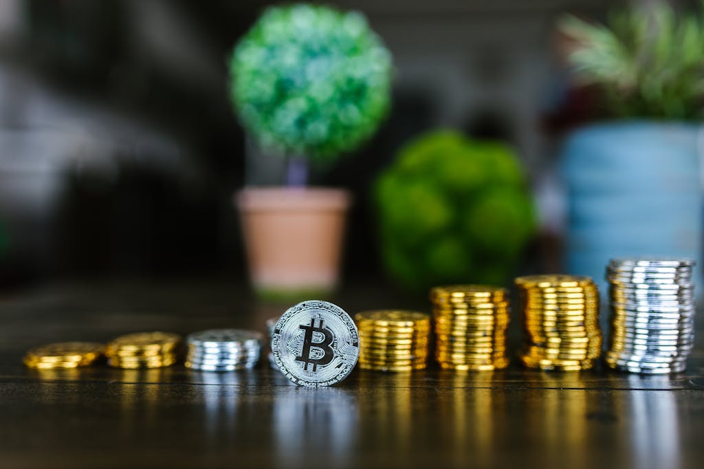cryptocurrency investor